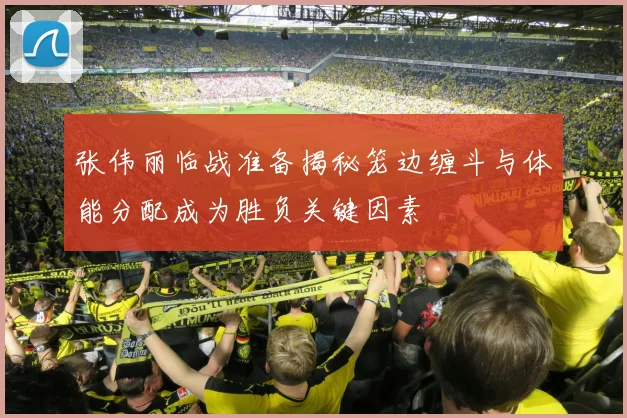 张伟丽临战准备揭秘笼边缠斗与体能分配成为胜负关键因素